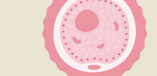 Screenshot 2025-04-17 at 16.50.47